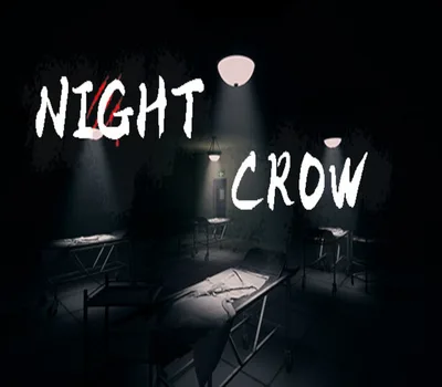 NIGHT CROW PC Steam CD Key — лицензионный ключ