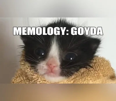 MEMOLOGY: GOYDA PC Steam CD Key — лицензионный ключ