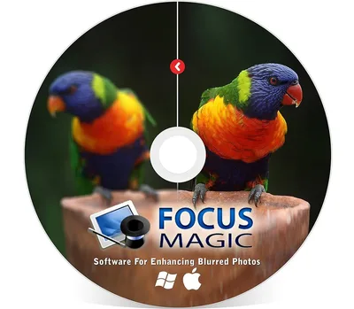 Focus Magic PC CD Key — лицензионный ключ