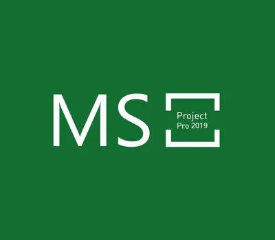 MS Project Professional 2019 Bind Key — лицензионный ключ