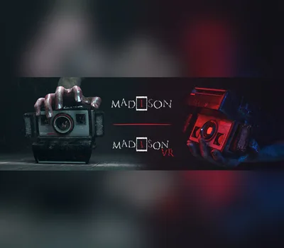 MADiSON: MAD SON Bundle PC Steam Account — лицензионный ключ