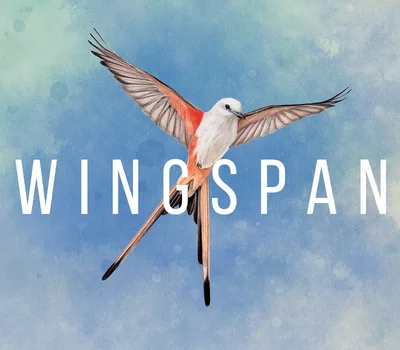 Wingspan PC Steam Account — лицензионный ключ