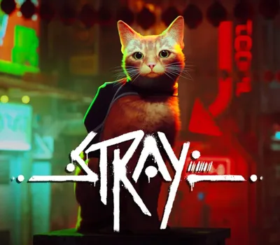 Stray ASIA PC Steam CD Key — лицензионный ключ