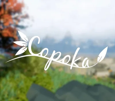 Copoka EU PC Steam CD Key — лицензионный ключ