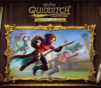 Harry Potter: Quidditch Champions Deluxe Edition EU/NA PC Steam CD Key — лицензионный ключ