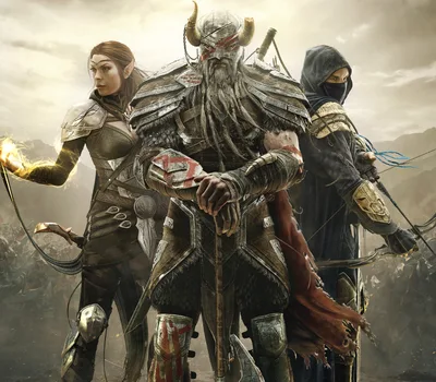 The Elder Scrolls Online Standard Edition ASIA PC Steam CD Key — лицензионный ключ
