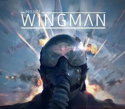 Project Wingman ASIA PC Steam CD Key — лицензионный ключ
