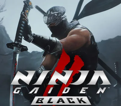 NINJA GAIDEN 2 Black EU PC Steam CD Key — лицензионный ключ