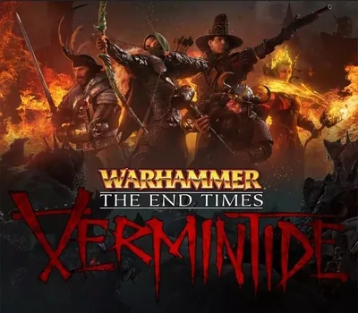 Warhammer: End Times - Vermintide RU/CIS Steam CD Key — лицензионный ключ