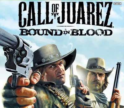 Call of Juarez: Bound in Blood NA PC Steam CD Key — лицензионный ключ