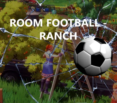 ROOM FOOTBALL: Ranch PC Steam CD Key — лицензионный ключ