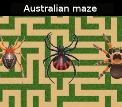 Australian maze PC Steam CD Key — лицензионный ключ