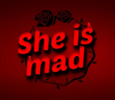 She is mad PC Steam CD Key — лицензионный ключ