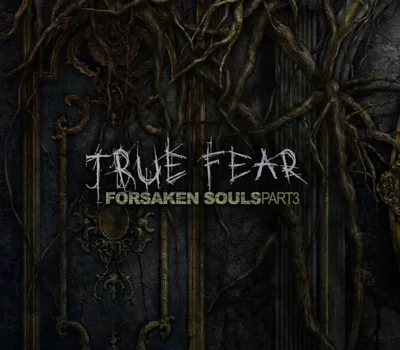True Fear: Forsaken Souls Part 3 PC Steam CD Key — лицензионный ключ