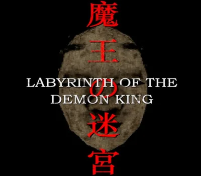 Labyrinth Of The Demon King PC Steam Account — лицензионный ключ