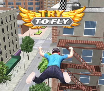 Try to Fly PC Steam CD Key — лицензионный ключ
