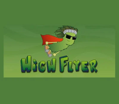 High Flyer PC Steam CD Key — лицензионный ключ