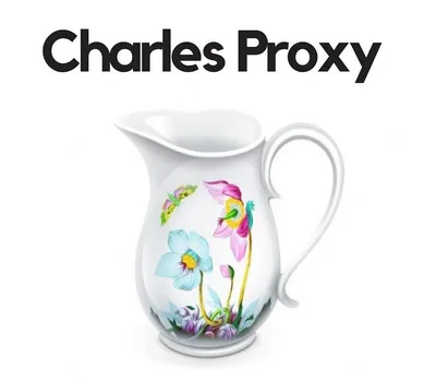 Charles Proxy 5 Key — лицензионный ключ