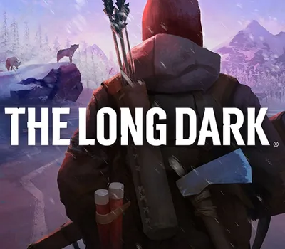 The Long Dark: Survival Mode PC Steam Account — лицензионный ключ