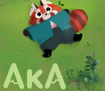 Aka PC Steam Account — лицензионный ключ