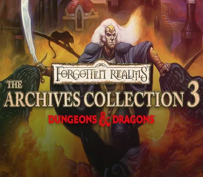 Forgotten Realms: The Archives - Collection Three PC Steam CD Key — лицензионный ключ