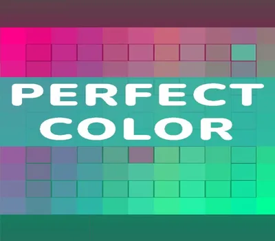 Perfect Color PC Steam CD Key — лицензионный ключ