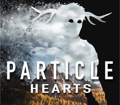 Particle Hearts PC Steam CD Key — лицензионный ключ