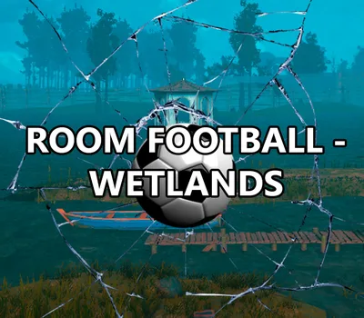 ROOM FOOTBALL: Wetlands PC Steam CD Key — лицензионный ключ