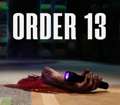 Order 13 PC Steam Account — лицензионный ключ
