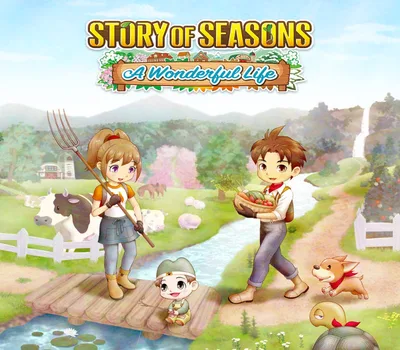 Story of Seasons: A Wonderful Life EU PC Steam CD Key — лицензионный ключ