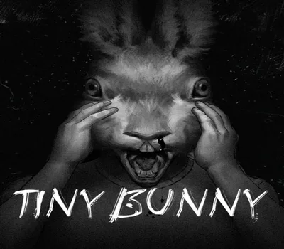Tiny Bunny PC Steam Account — лицензионный ключ