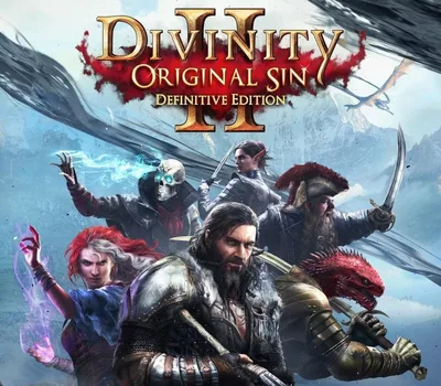 Divinity: Original Sin 2 Definitive Edition PC Steam Account — лицензионный ключ