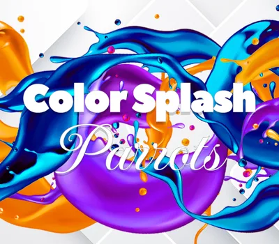 Color Splash: Parrots PC Steam CD Key — лицензионный ключ