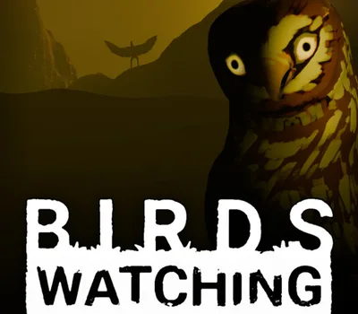 Birds Watching PC Steam CD Key — лицензионный ключ