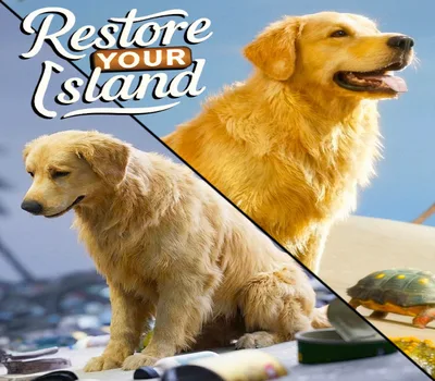 Restore Your Island PC Steam CD Key — лицензионный ключ
