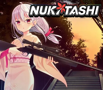NUKITASHI EU PC Steam CD Key — лицензионный ключ