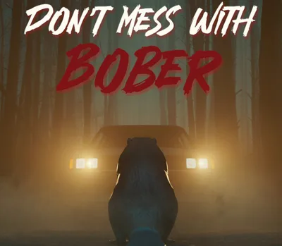 Don't Mess With Bober PS5 Account — лицензионный ключ