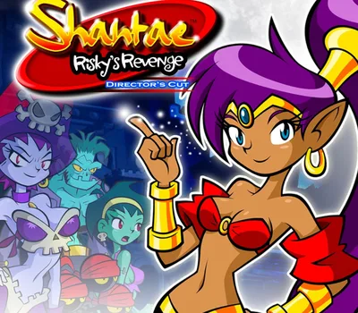 Shantae: Risky’s Revenge Director’s Cut EU PC Steam CD Key — лицензионный ключ