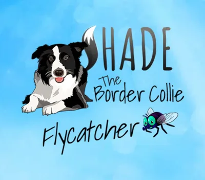 SHADE The Border Collie Flycatcher PC Steam CD Key — лицензионный ключ