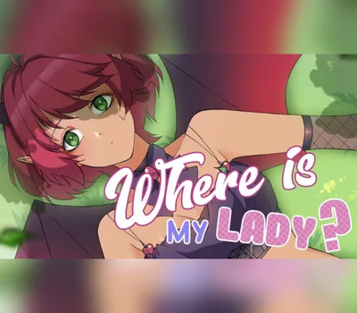 Where is my lady? PC Steam CD Key — лицензионный ключ