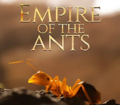 Empire of the Ants PS5 Account — лицензионный ключ