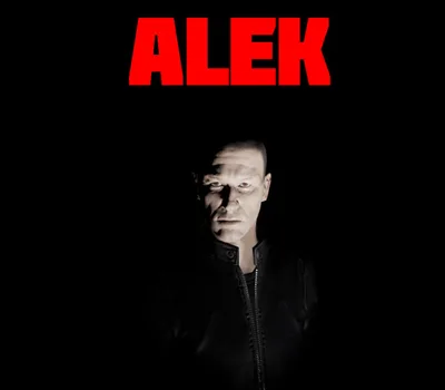 ALEK PC Steam CD Key — лицензионный ключ