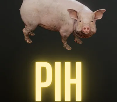 Pih PC Steam CD Key — лицензионный ключ